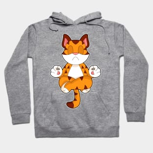 Tiger Yoga Fitness Meditation Hoodie